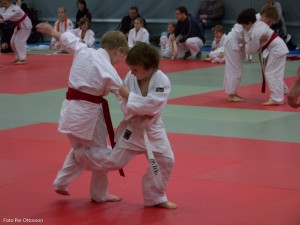 2013 03 05 - 026 Per Ottosson